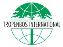 Tropenbos International (TBI)  logo